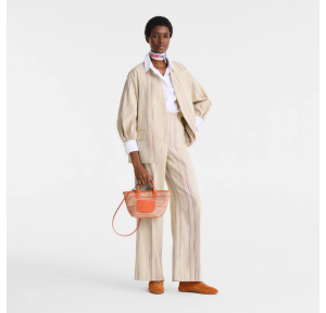 Sac à main XS Longchamp Le Panier Pliage Rainbow 10307HJCM36 Rainbow (orange multicolore) porté