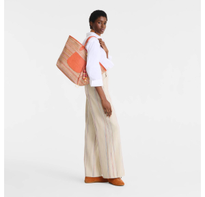 Sac cabas Longchamp Le Panier Pliage Rainbow 10308HJCM36 Rainbow (orange multicolore) porté