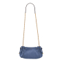 Bleuet