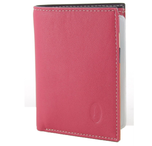 Porte-cartes multicolore en cuir 14 fentes - Francinel