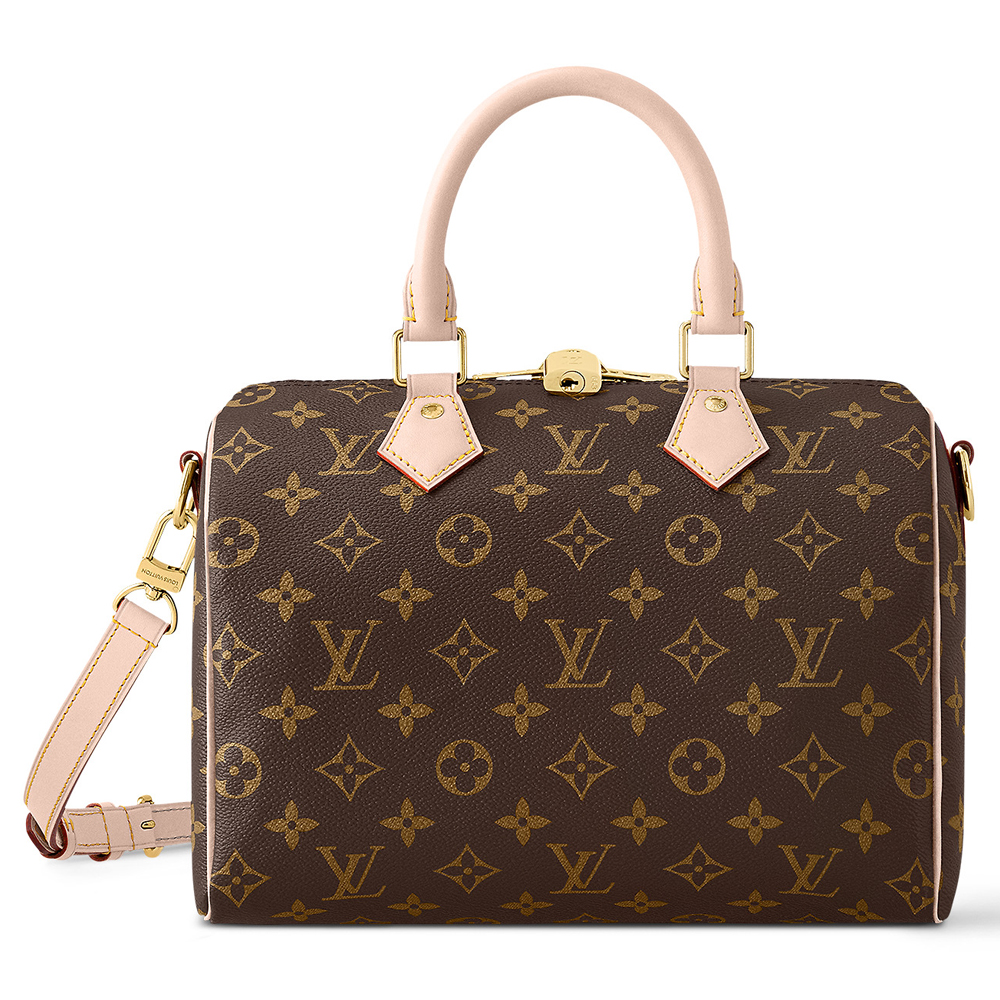 Sac de luxe Louis Vuitton Speedy